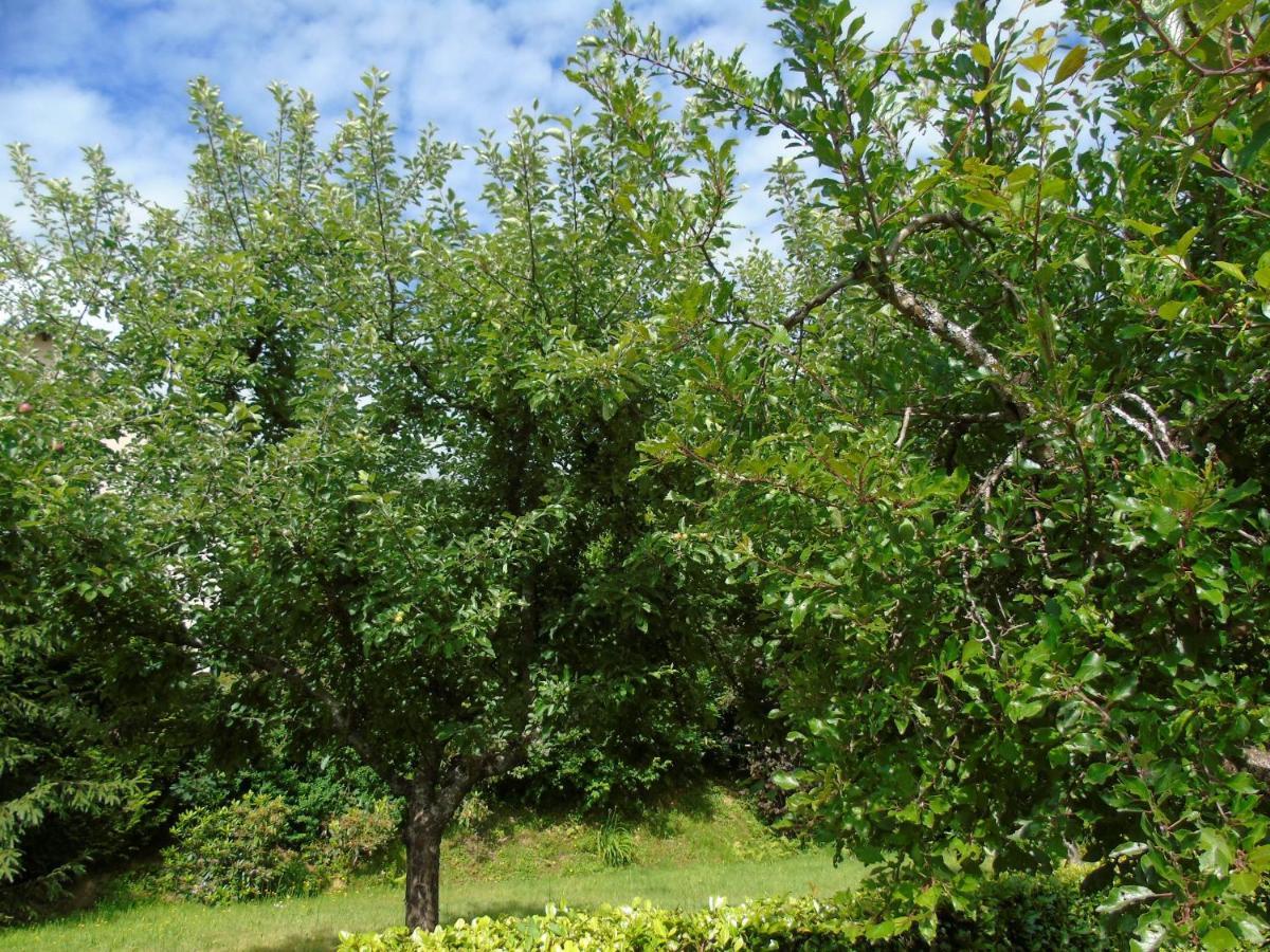 Maison L'Hirondelle Rustique A Tournavaux Bagian luar foto