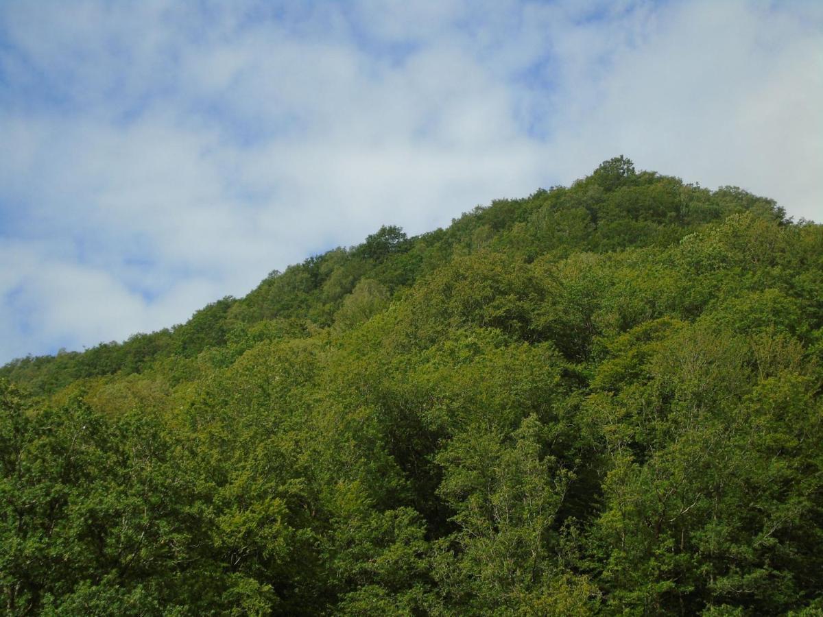 Maison L'Hirondelle Rustique A Tournavaux Bagian luar foto
